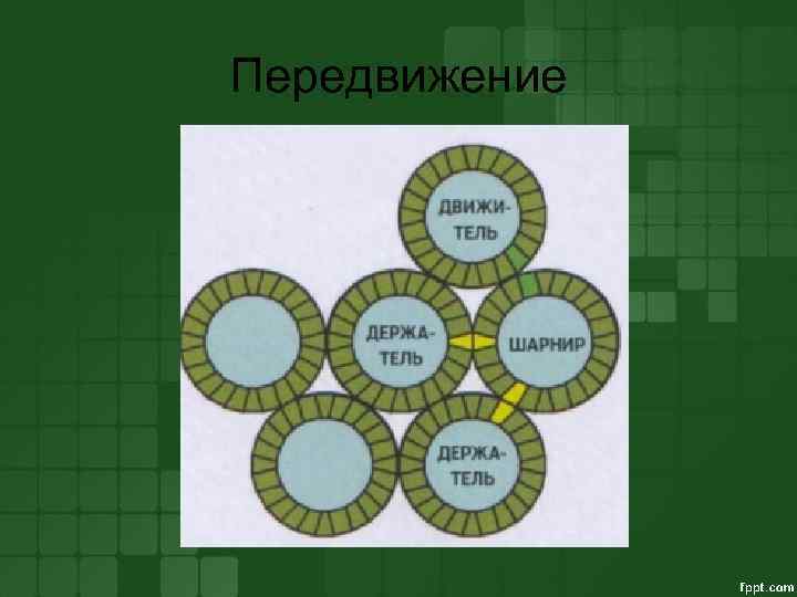 Передвижение 