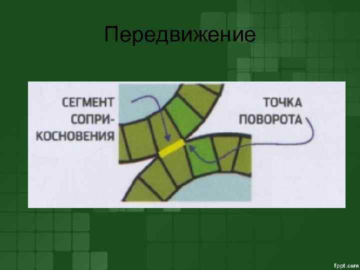 Передвижение 