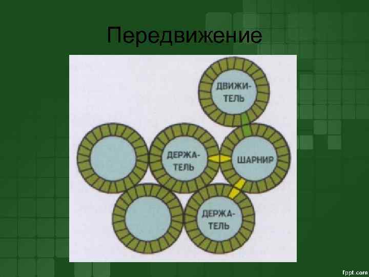 Передвижение 