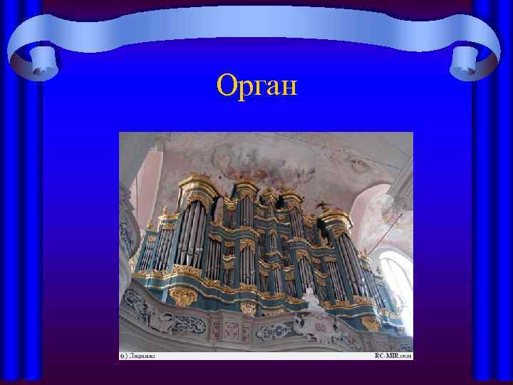 Орган 
