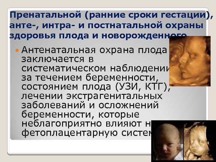 Пренатальной (ранние сроки гестации), анте , интра и постнатальной охраны здоровья плода и новорожденного