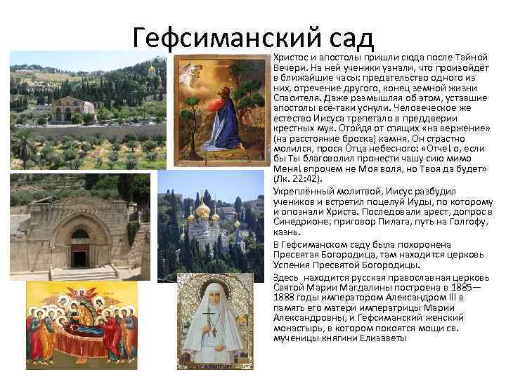 Гефсиманский сад • • Христос и апостолы пришли сюда после Тайной Вечери. На ней