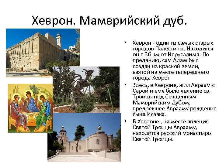 Мамврийский дуб сегодня фото