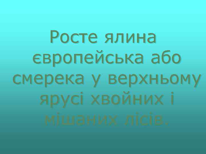 Росте ялина європейська або смерека у верхньому ярусі хвойних і мішаних лісів. 