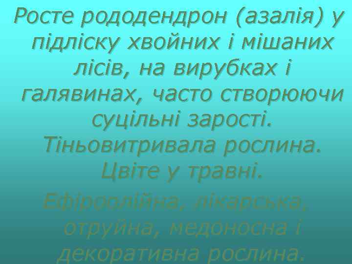 Росте рододендрон (азалія) у підліску хвойних і мішаних лісів, на вирубках і галявинах, часто