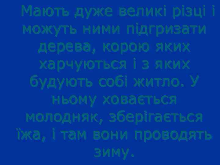 Мають дуже великі різці і можуть ними підгризати дерева, корою яких харчуються і з