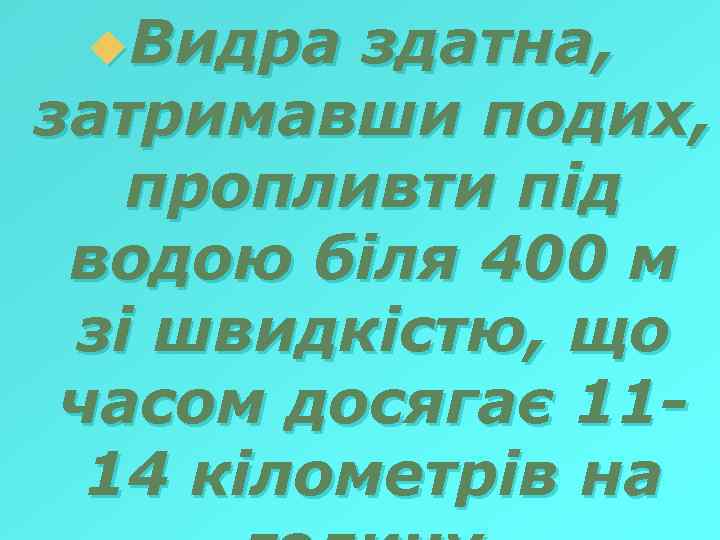 u. Видра здатна, затримавши подих, пропливти під водою біля 400 м зі швидкістю, що