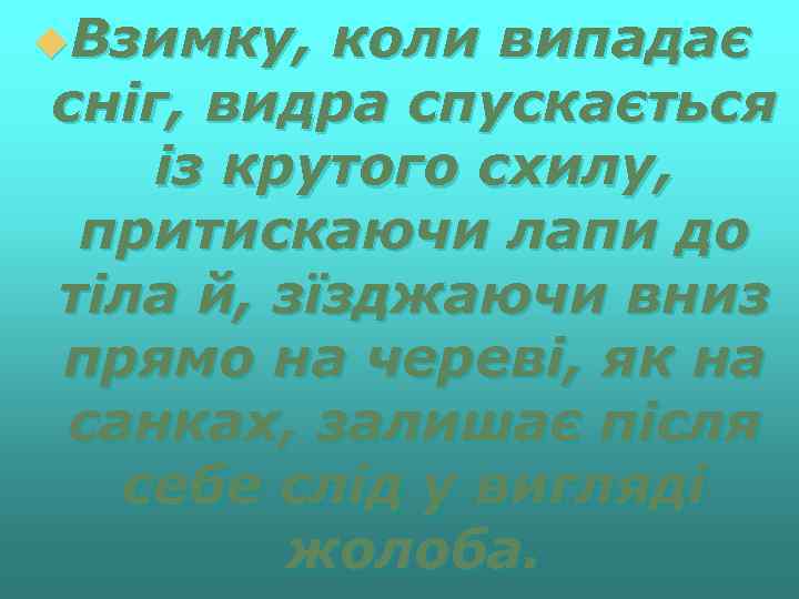 u. Взимку, коли випадає сніг, видра спускається із крутого схилу, притискаючи лапи до тіла