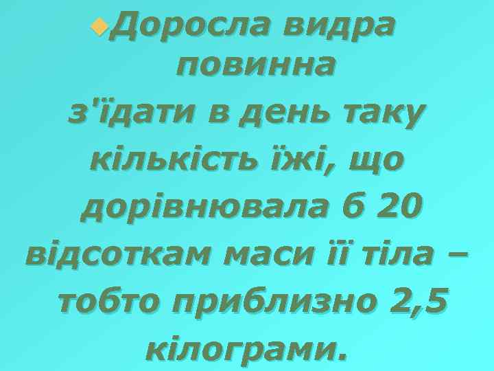 u. Доросла видра повинна з'їдати в день таку кількість їжі, що дорівнювала б 20