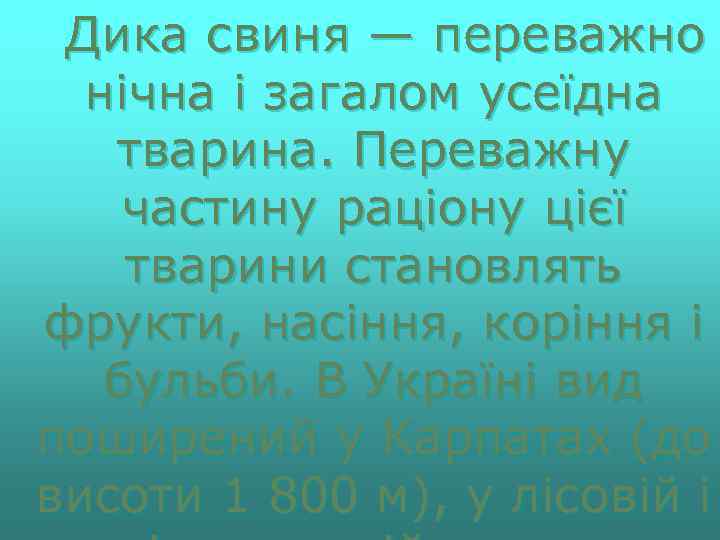 Дика свиня — переважно нічна і загалом усеїдна тварина. Переважну частину раціону цієї тварини