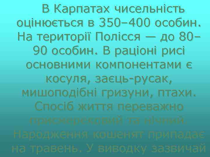 В Карпатах чисельність оцінюється в 350– 400 особин. На території Полісся — до 80–