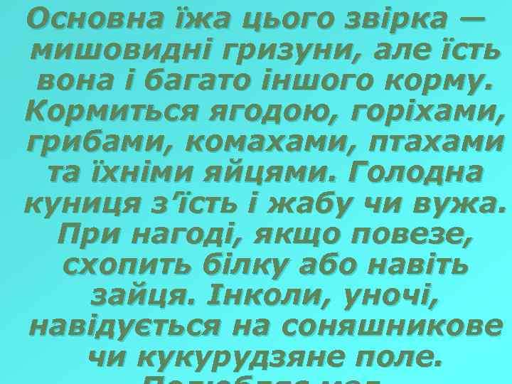 Основна їжа цього звірка — мишовидні гризуни, але їсть вона і багато іншого корму.