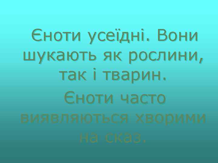 Єноти усеїдні. Вони шукають як рослини, так і тварин. Єноти часто виявляються хворими на