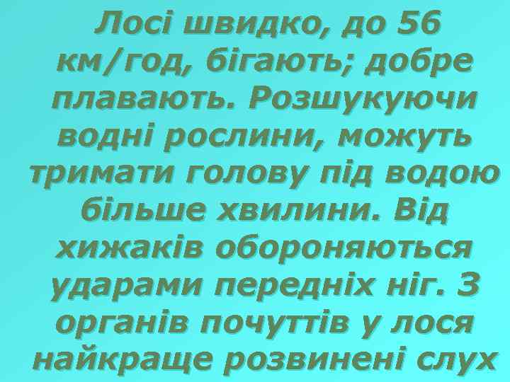 Лосі швидко, до 56 км/год, бігають; добре плавають. Розшукуючи водні рослини, можуть тримати голову