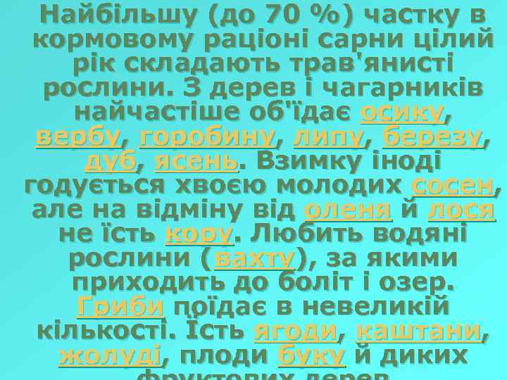 Найбільшу (до 70 %) частку в кормовому раціоні сарни цілий рік складають трав'янисті рослини.