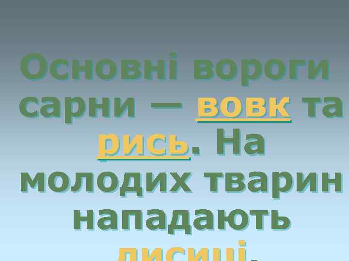 Основні вороги сарни — вовк та рись. На молодих тварин нападають 