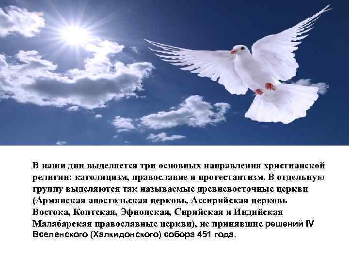 В наши дни выделяется три основных направления христианской религии: католицизм, православие и протестантизм. В