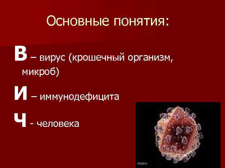 Основные понятия: В – вирус (крошечный организм, микроб) И – иммунодефицита Ч - человека