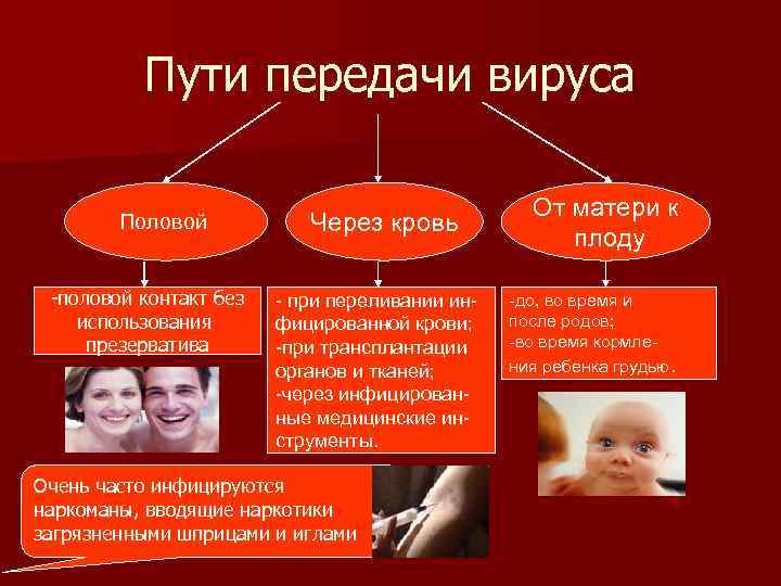 Виды передачи вирусов. Пути передачи вирусов. Пути передачи вирусных заболеваний. Пути передачи вирусов через кровь.