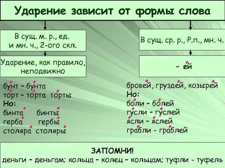 Ударение зависит от формы слова В сущ. м. р. , ед. и мн. ч.