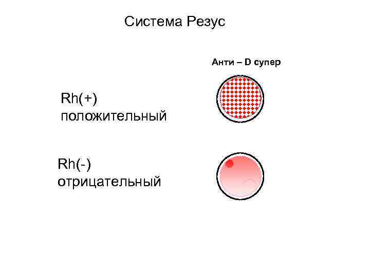 Тест на резус фактор. Реакция определения резус фактора. Резус фактор определяют цоликлонами. Группа крови системы резус фактор. Резус крови положительный цоликлонами.