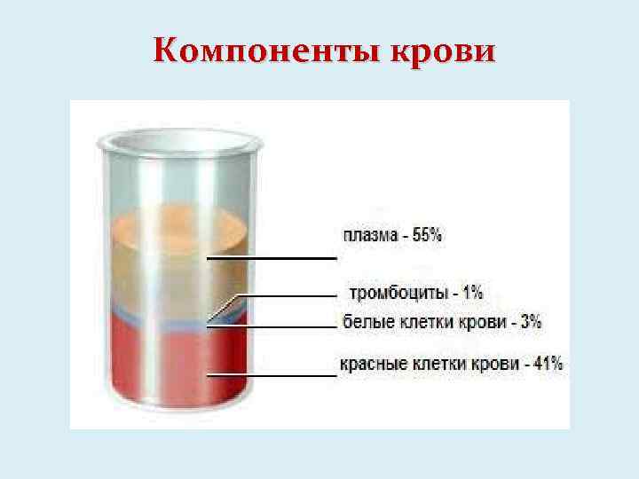 Компоненты крови 