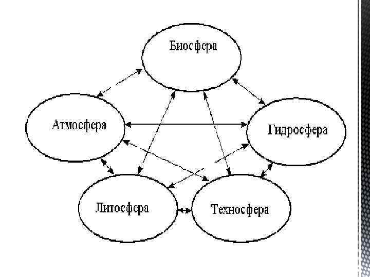 Связь неживой и живой природы схема