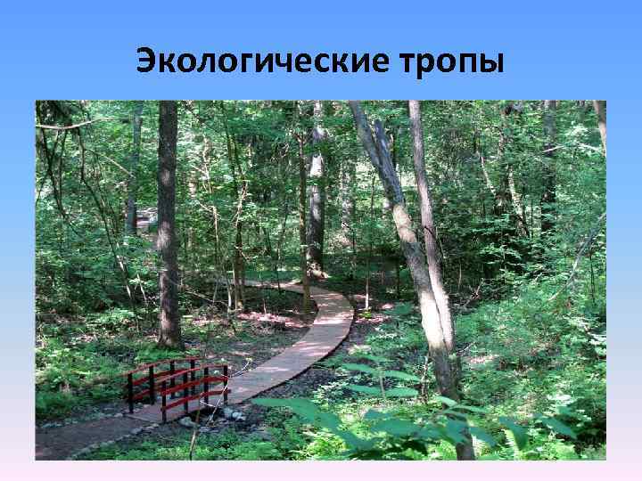 Экологические тропы 