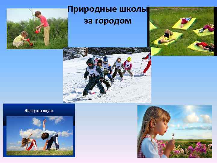 Природные школы за городом 