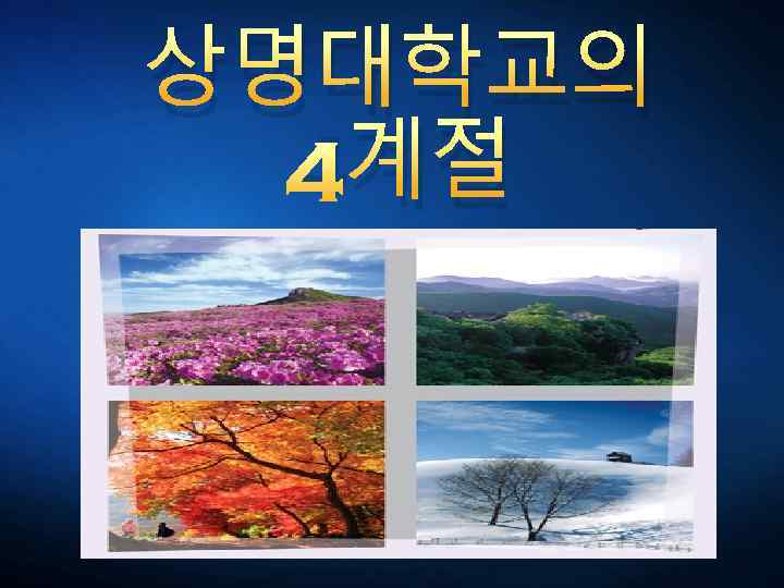 상명대학교의 4계절 