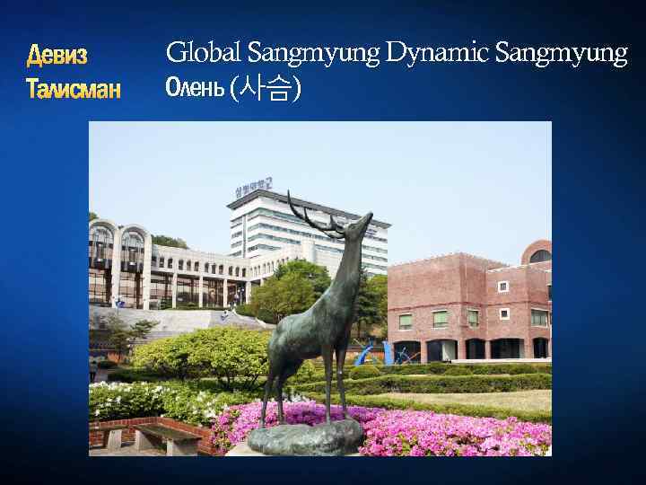 Девиз Талисман Global Sangmyung Dynamic Sangmyung Олень (사슴) 