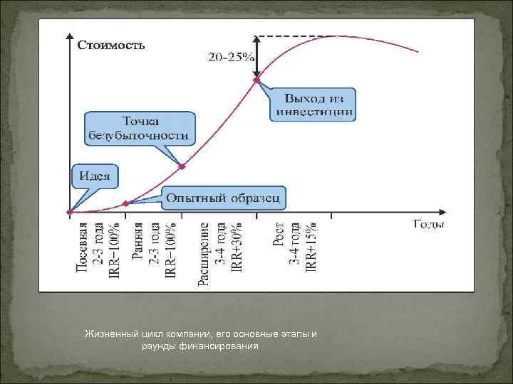 Жизненный цикл компании, его основные этапы и раунды финансирования 