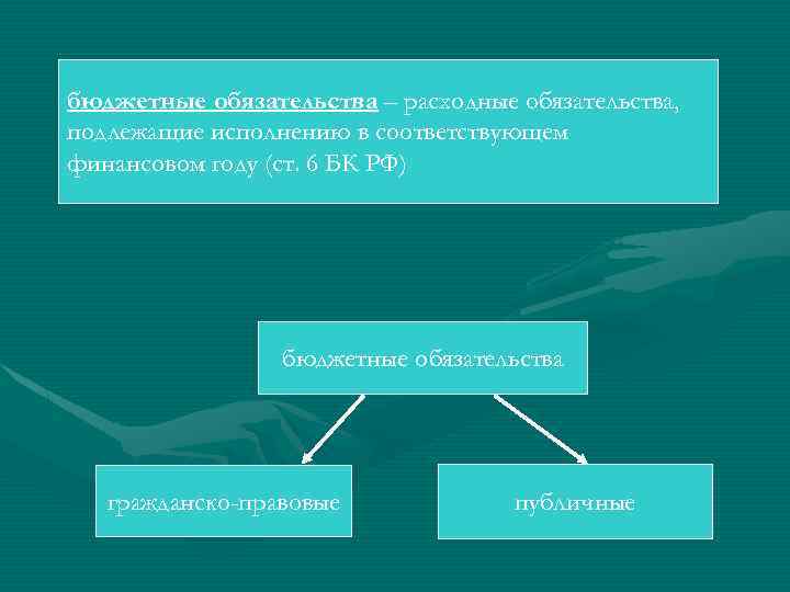 бюджетные обязательства – расходные обязательства, подлежащие исполнению в соответствующем финансовом году (ст. 6 БК