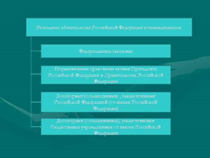 Расходные обязательства Российской Федерации устанавливаются: Федеральными законами Нормативными правовыми актами Президента Российской Федерации и