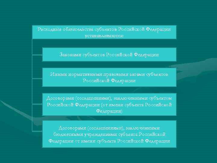 Расходные обязательства субъектов Российской Федерации устанавливаются: Законами субъектов Российской Федерации Иными нормативными правовыми актами