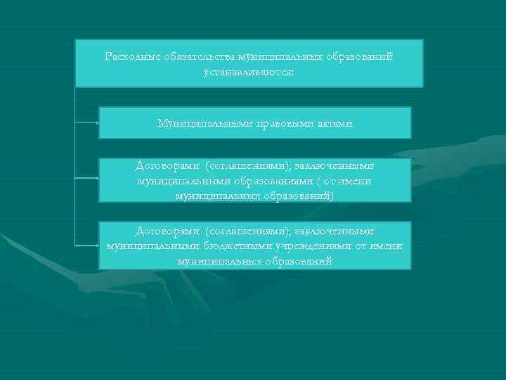 Расходные обязательства муниципальных образований устанавливаются: Муниципальными правовыми актами Договорами (соглашениями), заключенными муниципальными образованиями (
