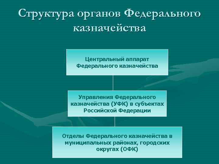 Структура органов Федерального казначейства Центральный аппарат Федерального казначейства Управления Федерального казначейства (УФК) в субъектах