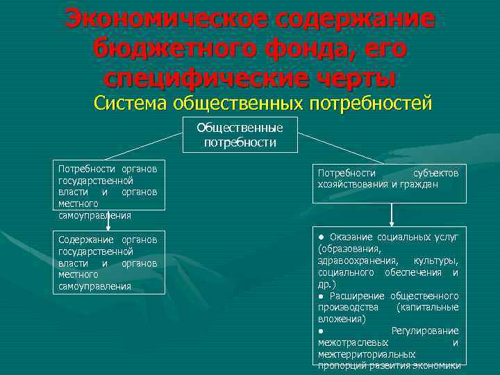 Экономическое содержание бюджетного фонда, его специфические черты Система общественных потребностей Общественные потребности Потребности органов