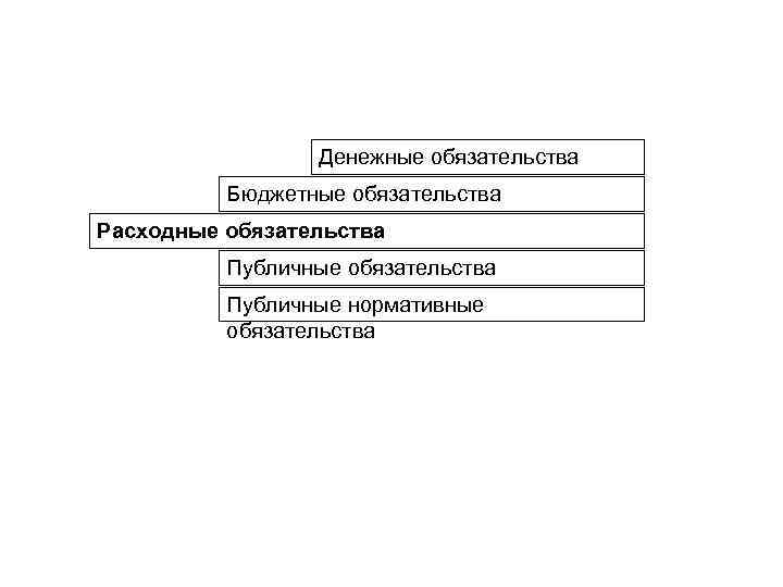 Денежные обязательства Бюджетные обязательства Расходные обязательства Публичные нормативные обязательства 