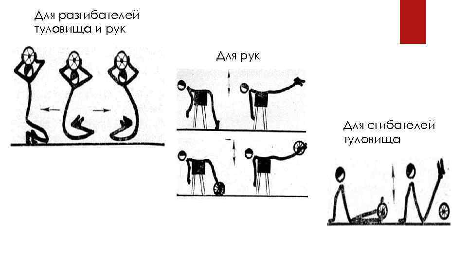 Для разгибателей туловища и рук Для сгибателей туловища 