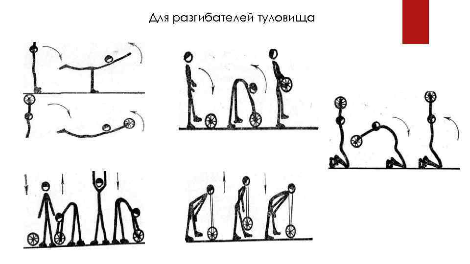 Для разгибателей туловища 