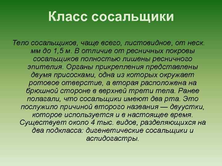 Класс сосальщики Тело сосальщиков, чаще всего, листовидное, от неск. мм до 1, 5 м.