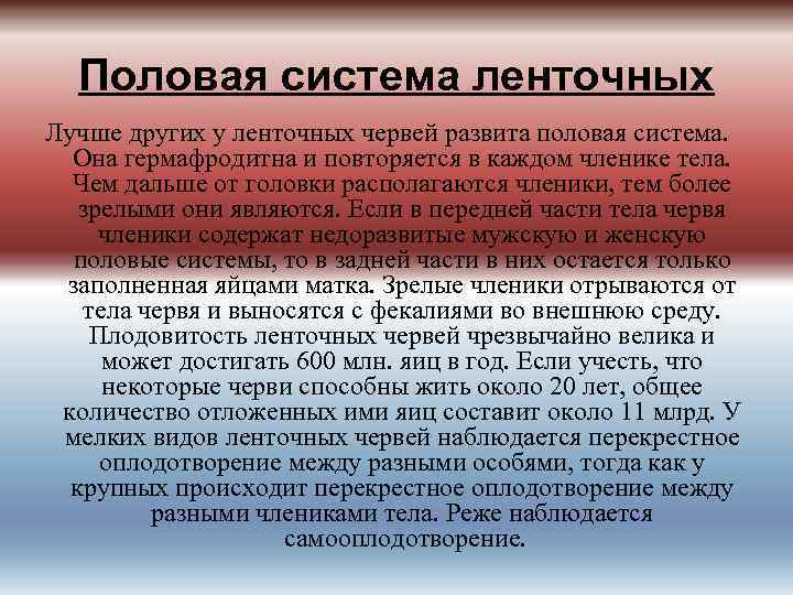 Половая система ленточных Лучше других у ленточных червей развита половая система. Она гермафродитна и