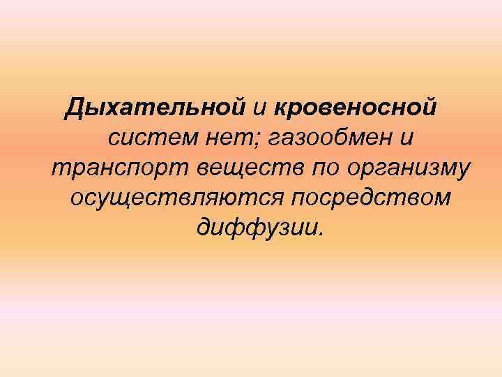 Дыхательной и кровеносной систем нет; газообмен и транспорт веществ по организму осуществляются посредством диффузии.