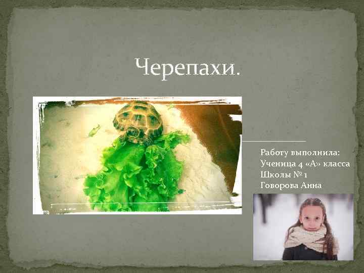 Черепахи. Работу выполнила: Ученица 4 «А» класса Школы № 1 Говорова Анна 