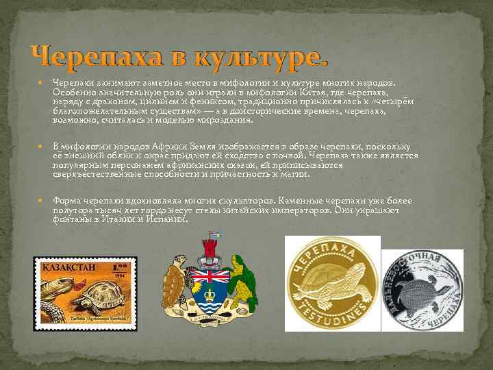 Черепаха в культуре. Черепахи занимают заметное место в мифологии и культуре многих народов. Особенно