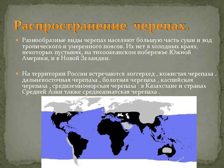Распространение черепах. Разнообразные виды черепах населяют бо льшую часть суши и вод тропического и