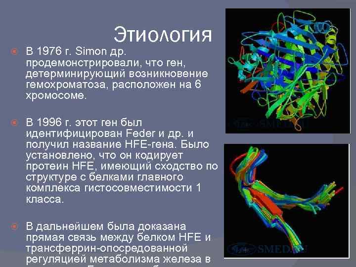 Этиология В 1976 г. Simon др. продемонстрировали, что ген, детерминирующий возникновение гемохроматоза, расположен на