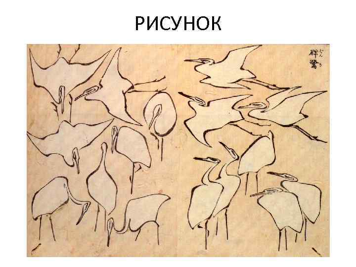 РИСУНОК 