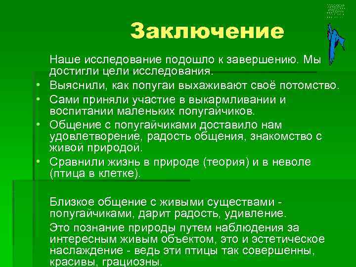 Заключение Наше исследование подошло к завершению. Мы достигли цели исследования. • Выяснили, как попугаи